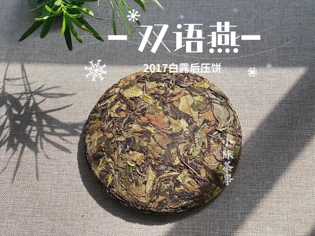 年底了，买老白茶要牢记“3个要点”，不交学费，春节在家喝好茶