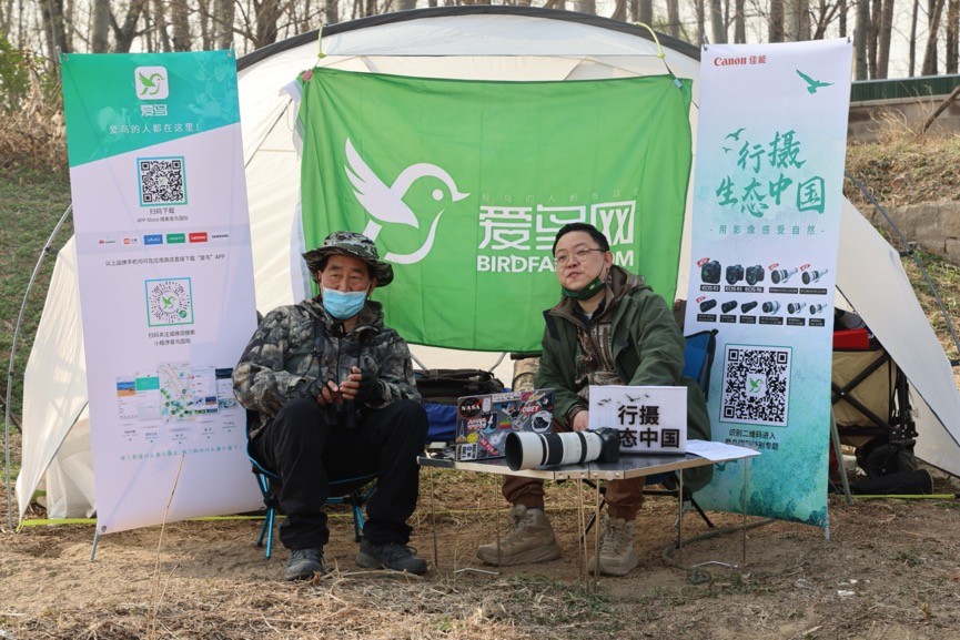 行摄生态中国 沙河湿地公园迎接候北归