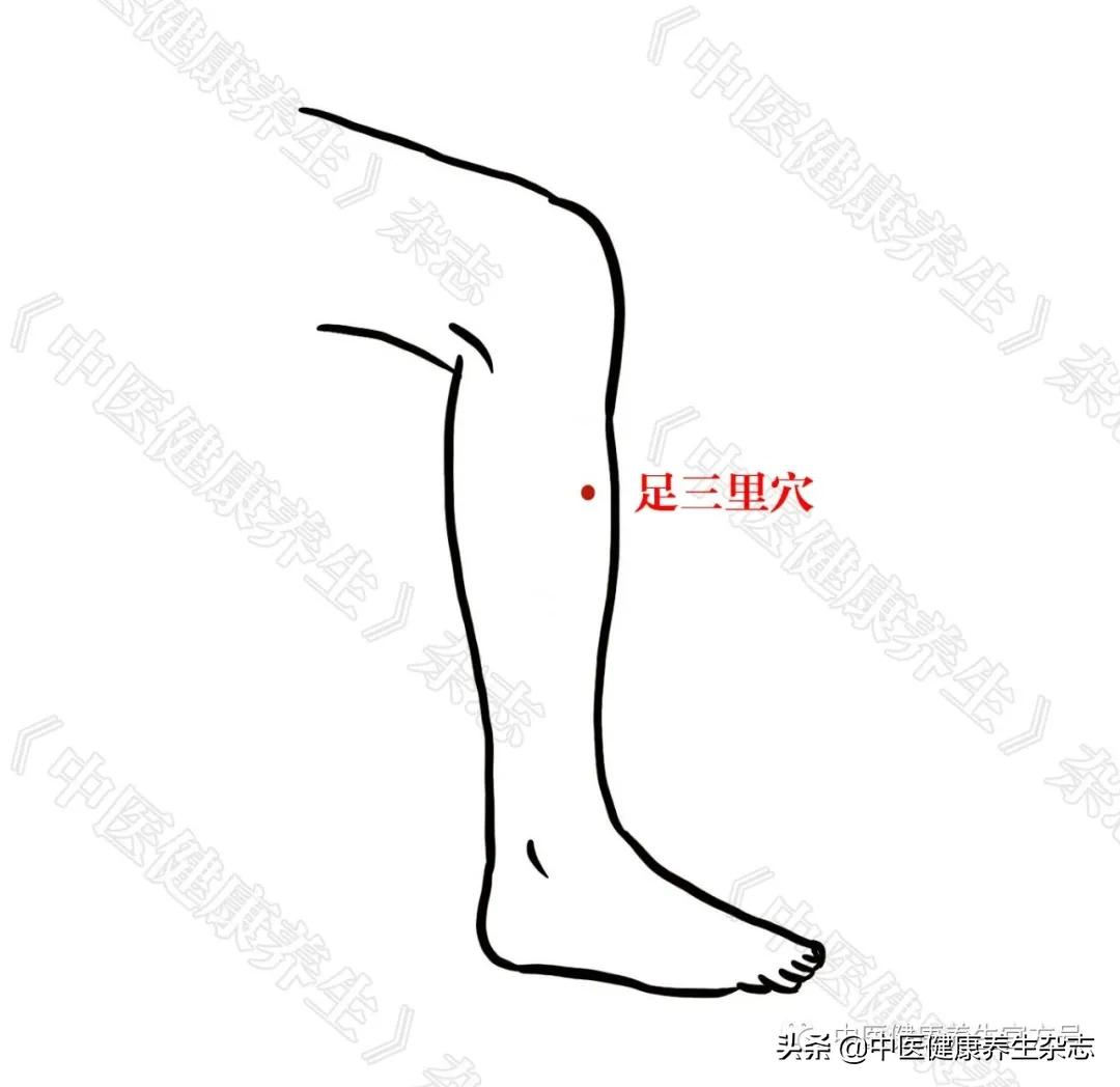 保养身体的“长寿穴”，老年人尤其要常按，但您按对了吗？