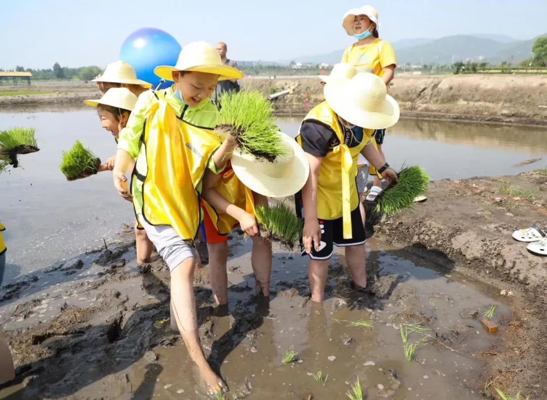 太原市晋源区：稻田公园浓情端午节 别样插秧忙