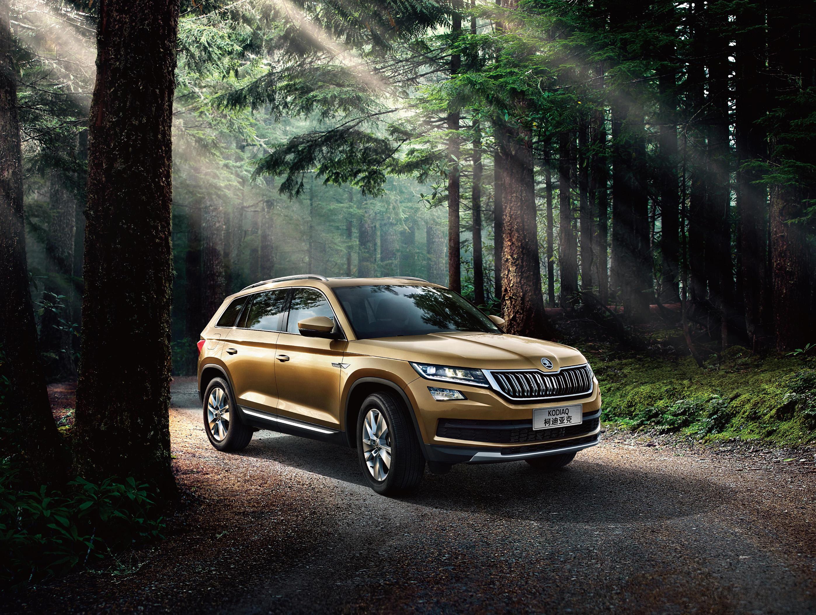 第九款,大众·柯迪亚克