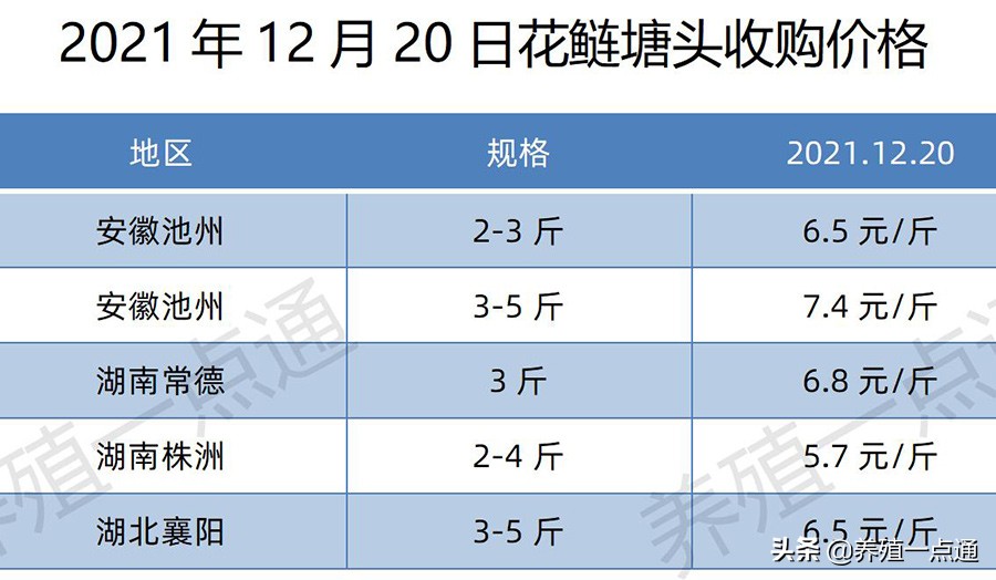 2021年12月20日，罗非、花鲢、鳊鱼、鮰鱼、鲫鱼、黑鱼、鲤塘口价