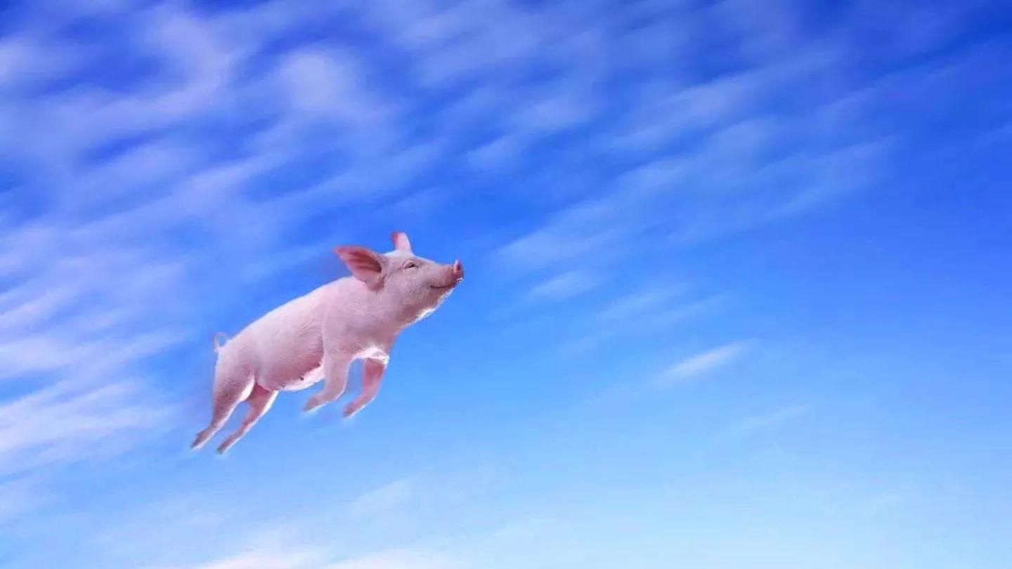 未来10年最容易就业的高薪行业有哪些？给考生填报志愿一些参考