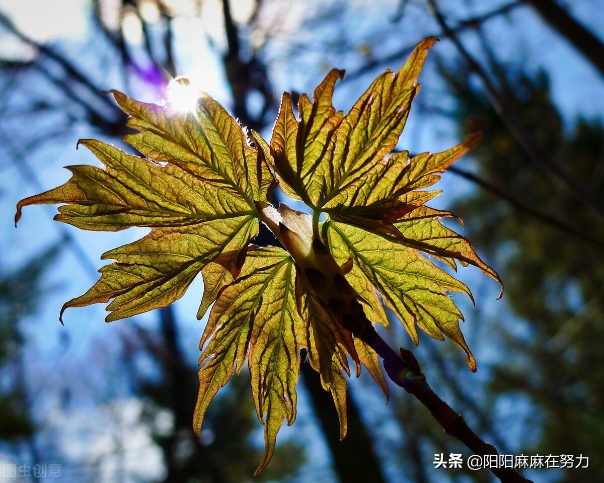 有深度有气质的励志语录，很正能量，总有一句深入你心坎