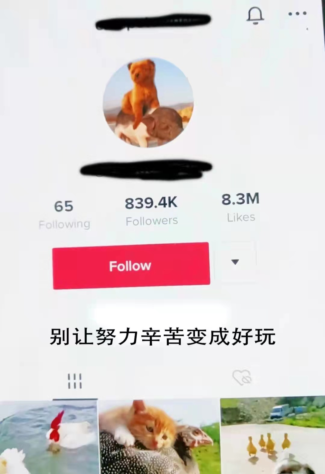 TikTok上流量不好的视频究竟需不需要删除？