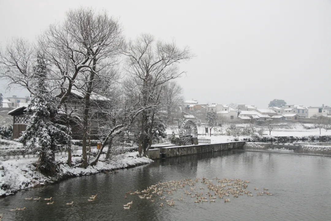 徽州过大年| 雪润黟县，淡雅如画。