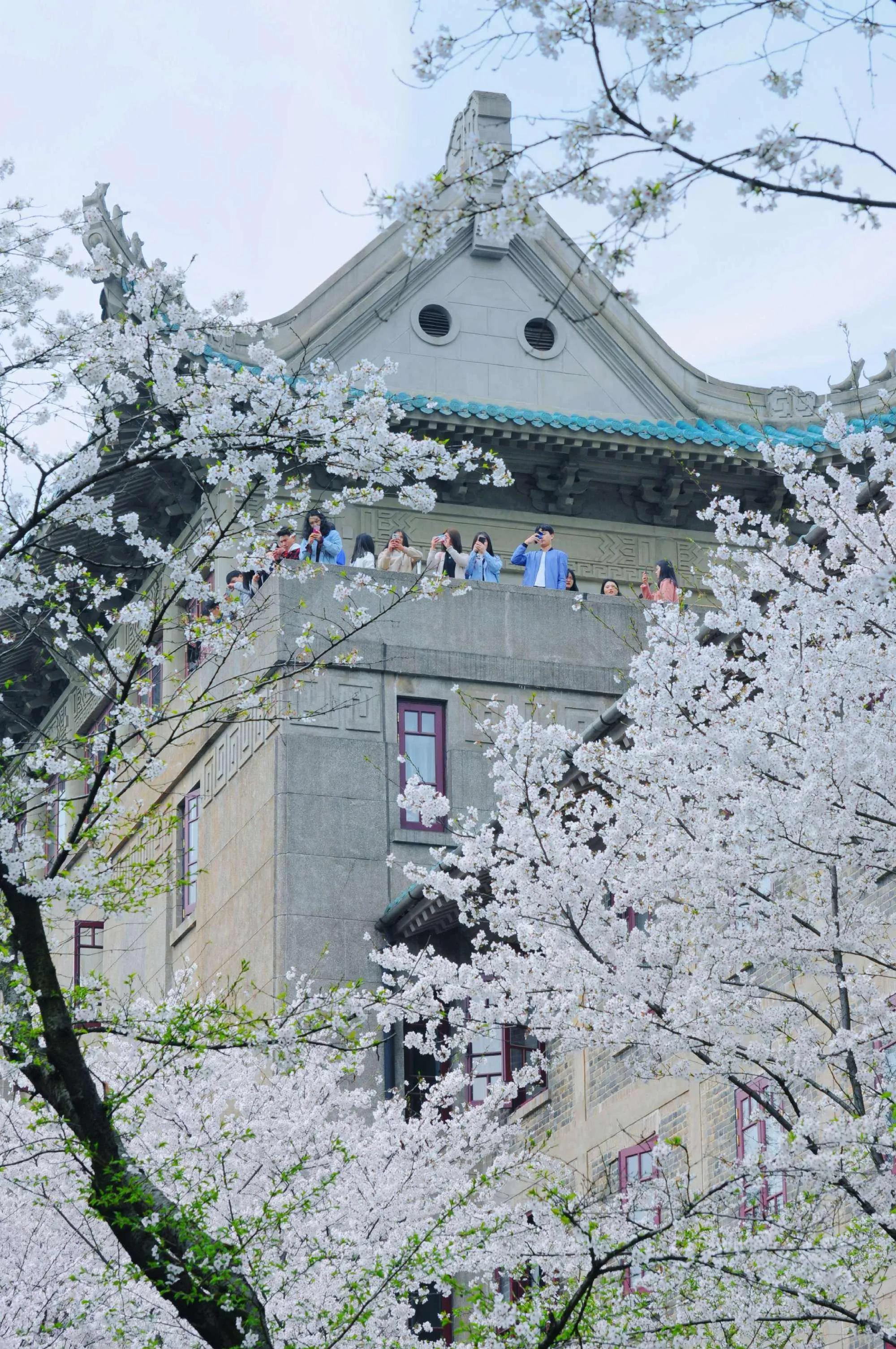 从入选首批"中国二十世纪建筑遗产"看,最美的大学究竟哪几所?