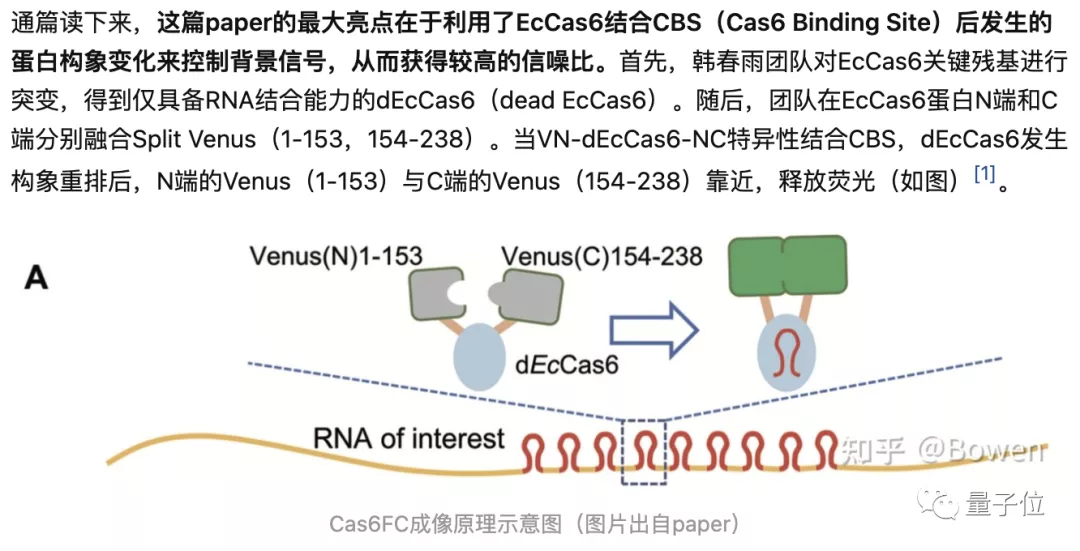 韩春雨，时隔六年再发高分论文