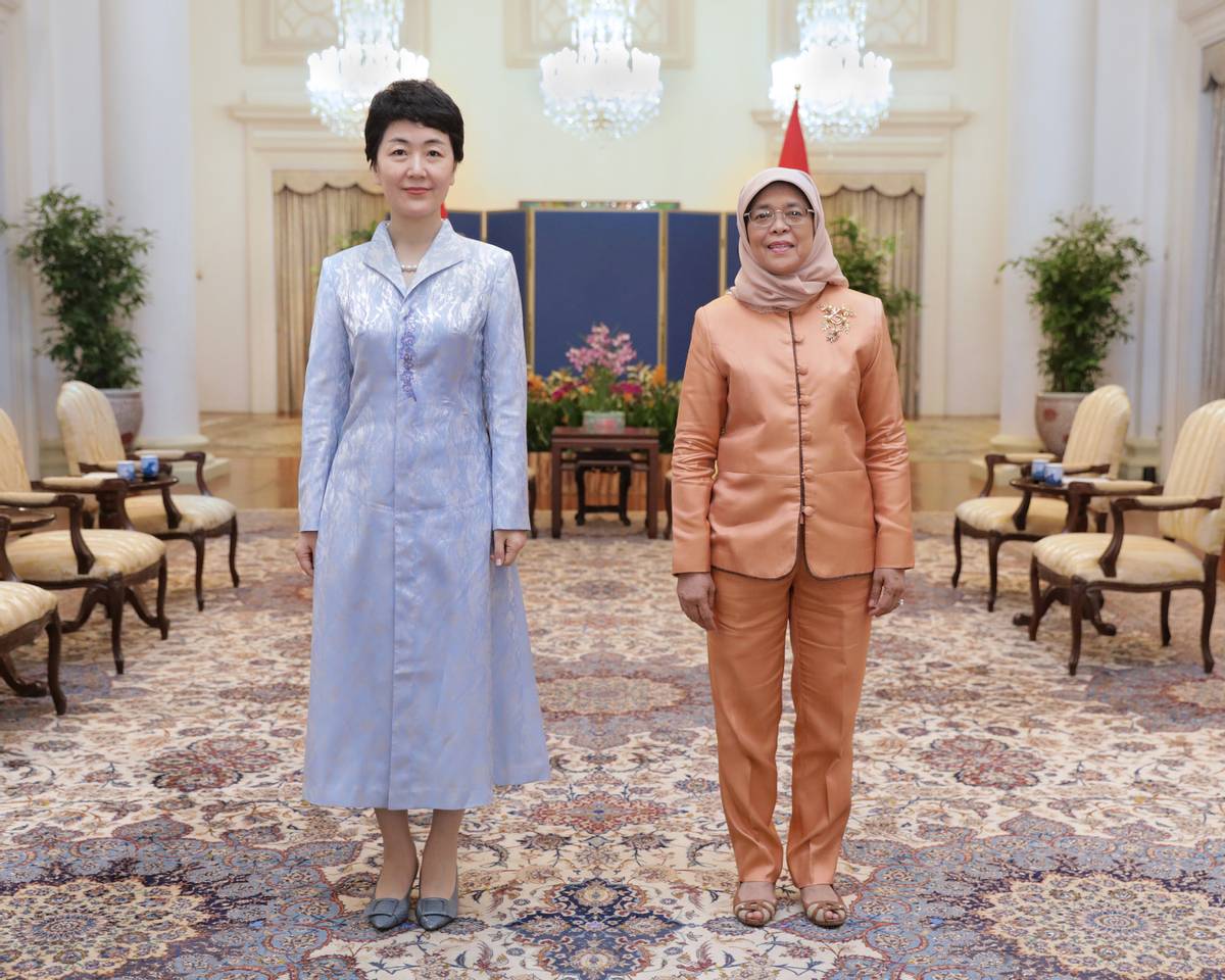 新任中国驻新加坡大使孙海燕向新加坡总统递交国书