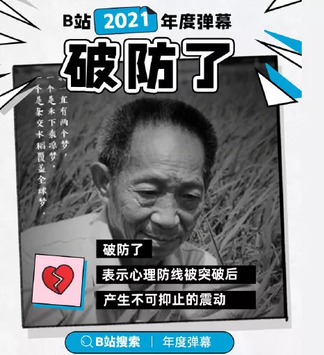 B 站弹幕量破百亿，有你的一份力量吗？