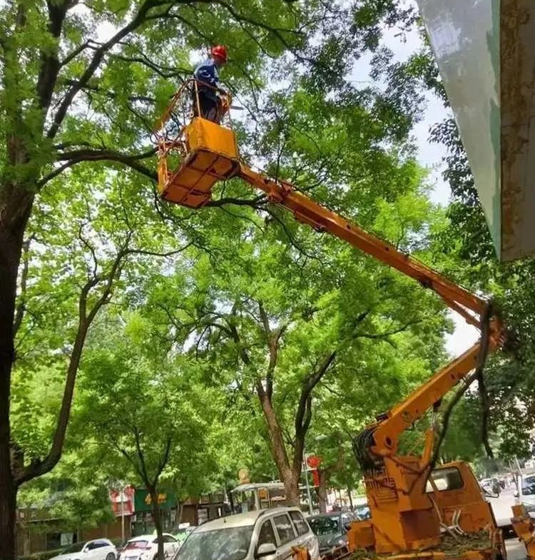 ����о�ϸ���� �����������쾫Ʒ