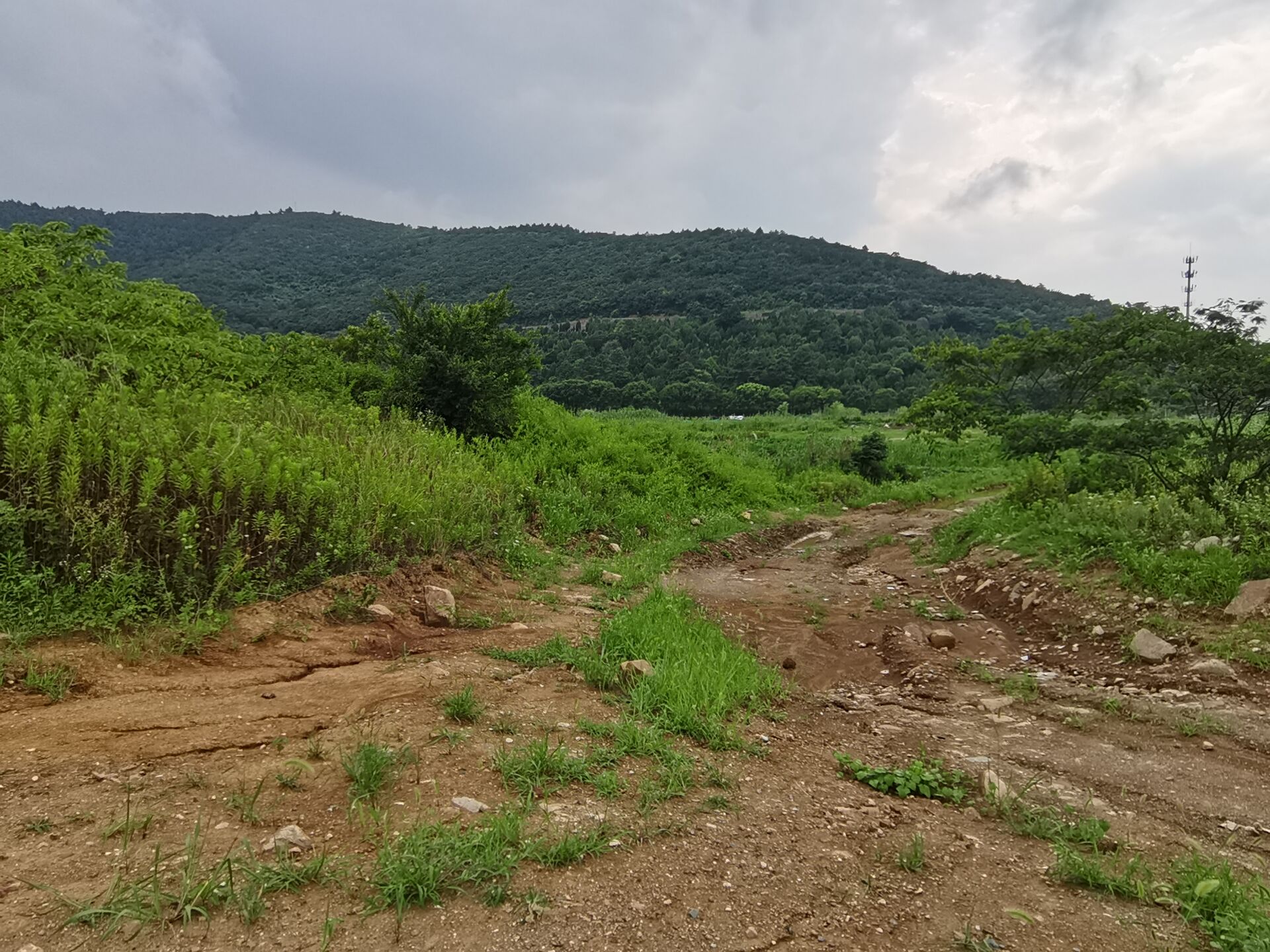 访古札记:钱元璙墓 访古札记:钱元璙墓