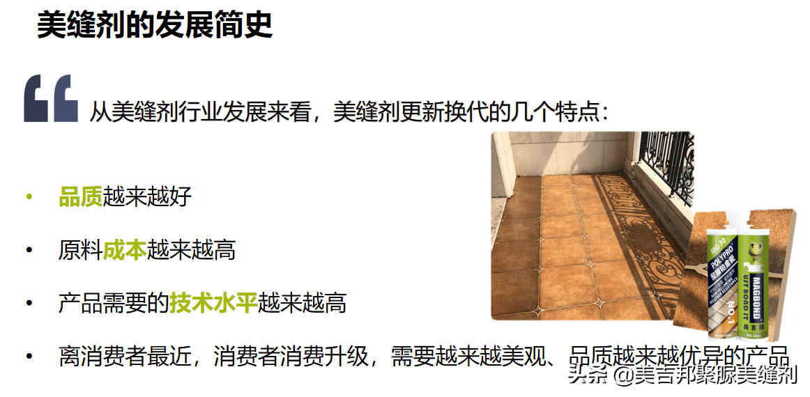 聚脲美缝剂十大品牌排行榜：美缝产品质量与性能对比分析