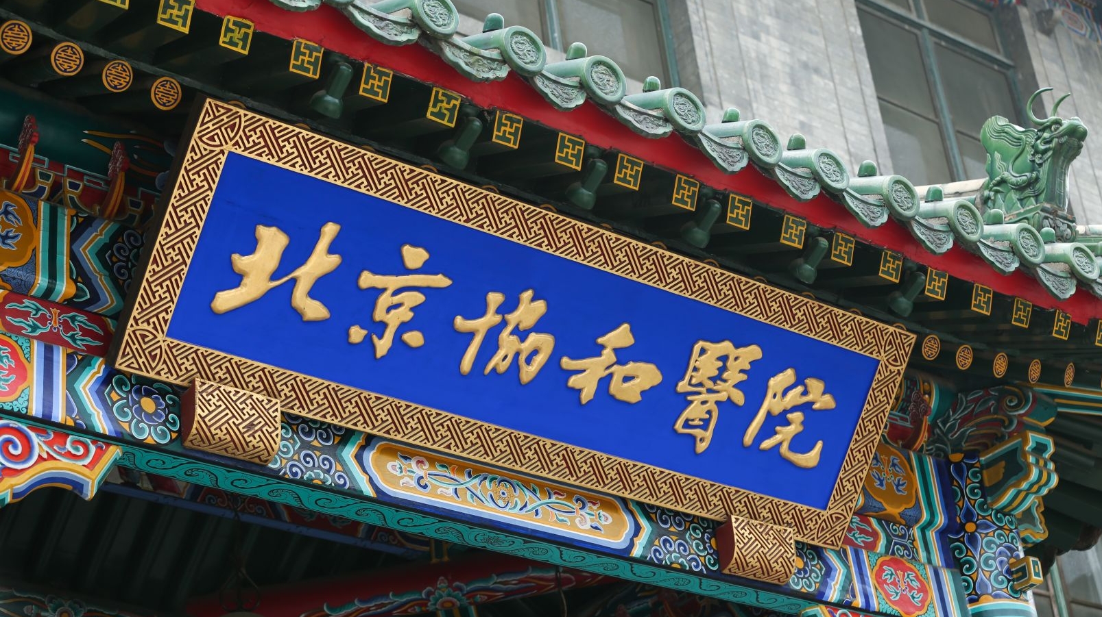 怪！11类“双一流”大学中，9校英文名与众不同