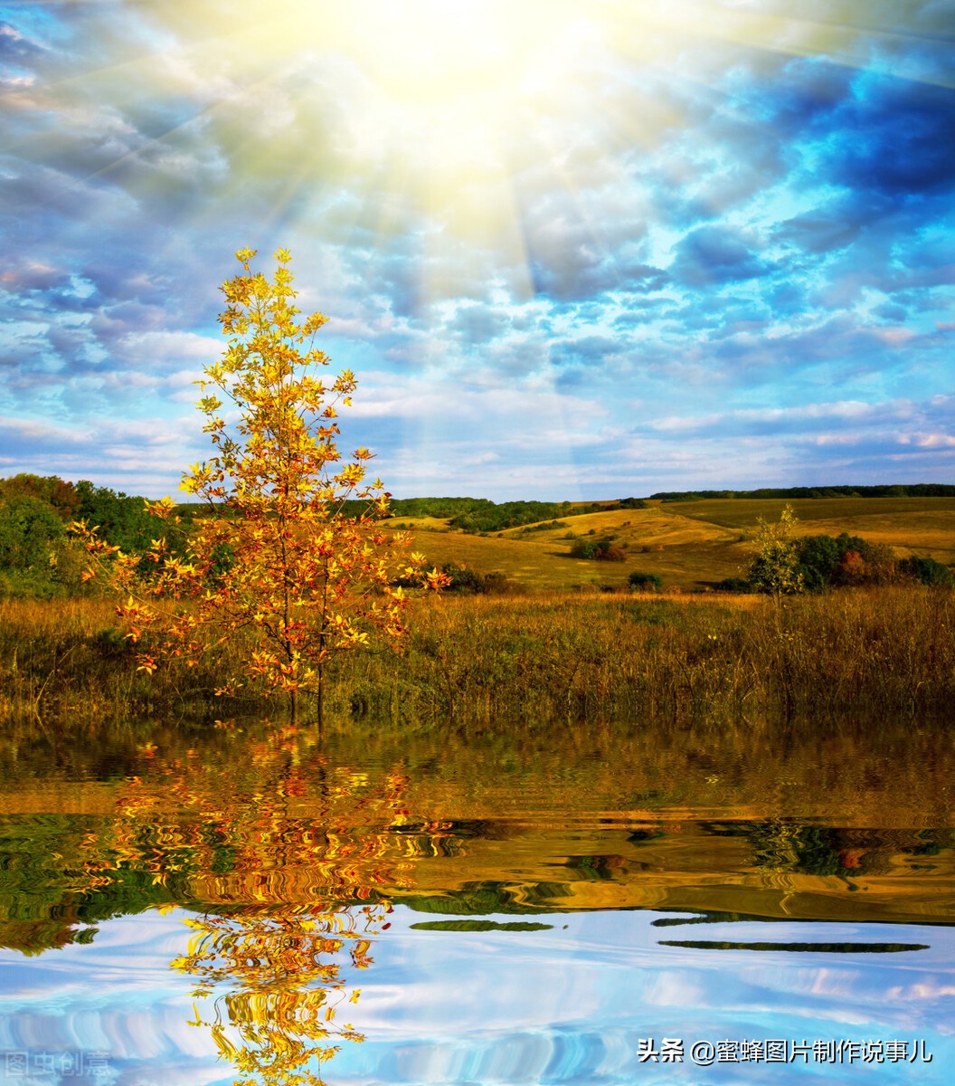 花卉植物,各种蔬果,鸟儿,青山碧水,壁纸头像,美好的风景,就关注我吧!