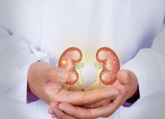 肾脏好不好要看排尿？尿液出现这4种“形态”，要当心肾亮红灯