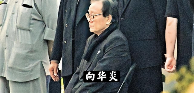 向华强向华胜 向华胜传奇人生-进行号