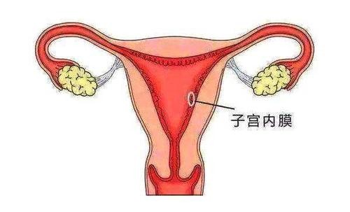 月经一般来几天才算正常？本文给出参考范围，看看你达标没？