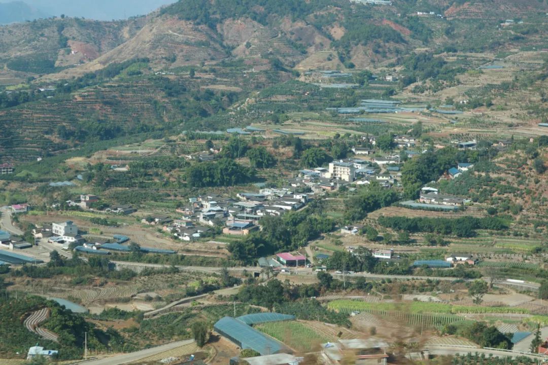 喜欢了！在这座无人在意的五线城市，实现了水果自由、鲜花自由