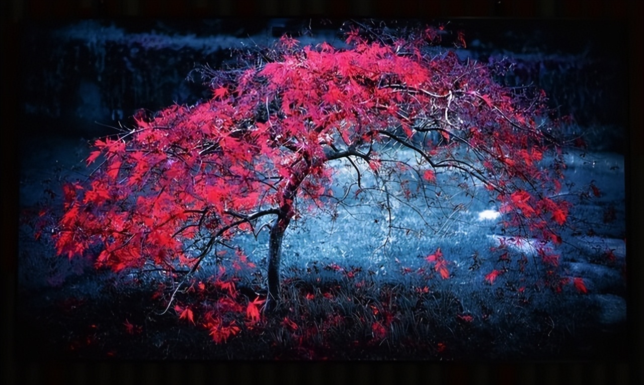 更大屏，更健康：海信80L9H激光电视开启“新视代”