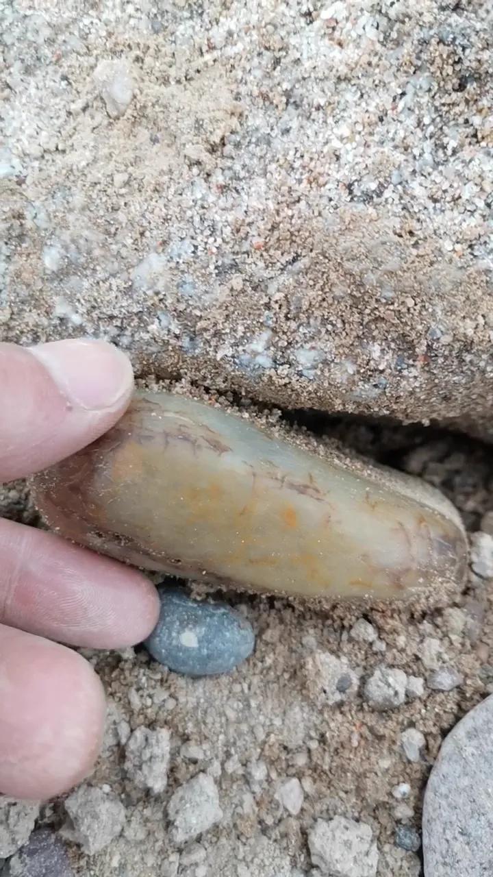 河边石头怎么分辨玉石(河里的白色石头是玉石吗？)