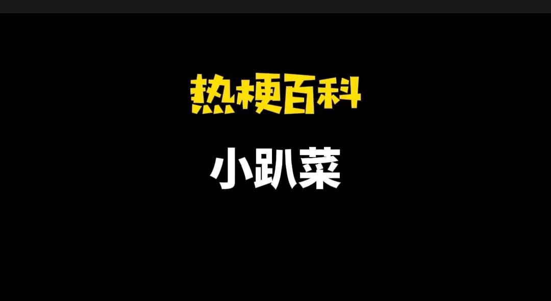 小趴菜什么意思？小趴菜梗含义