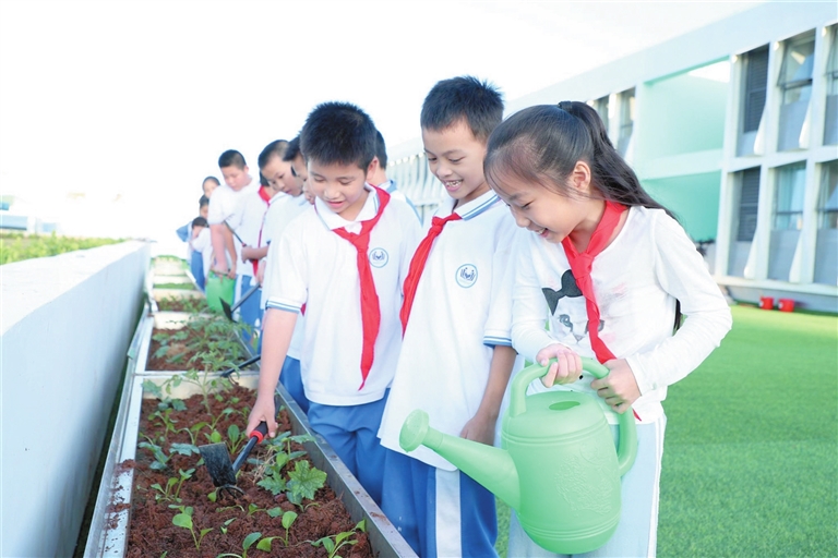 多元课后服务让三亚丹州小学焕发新活力(图2)