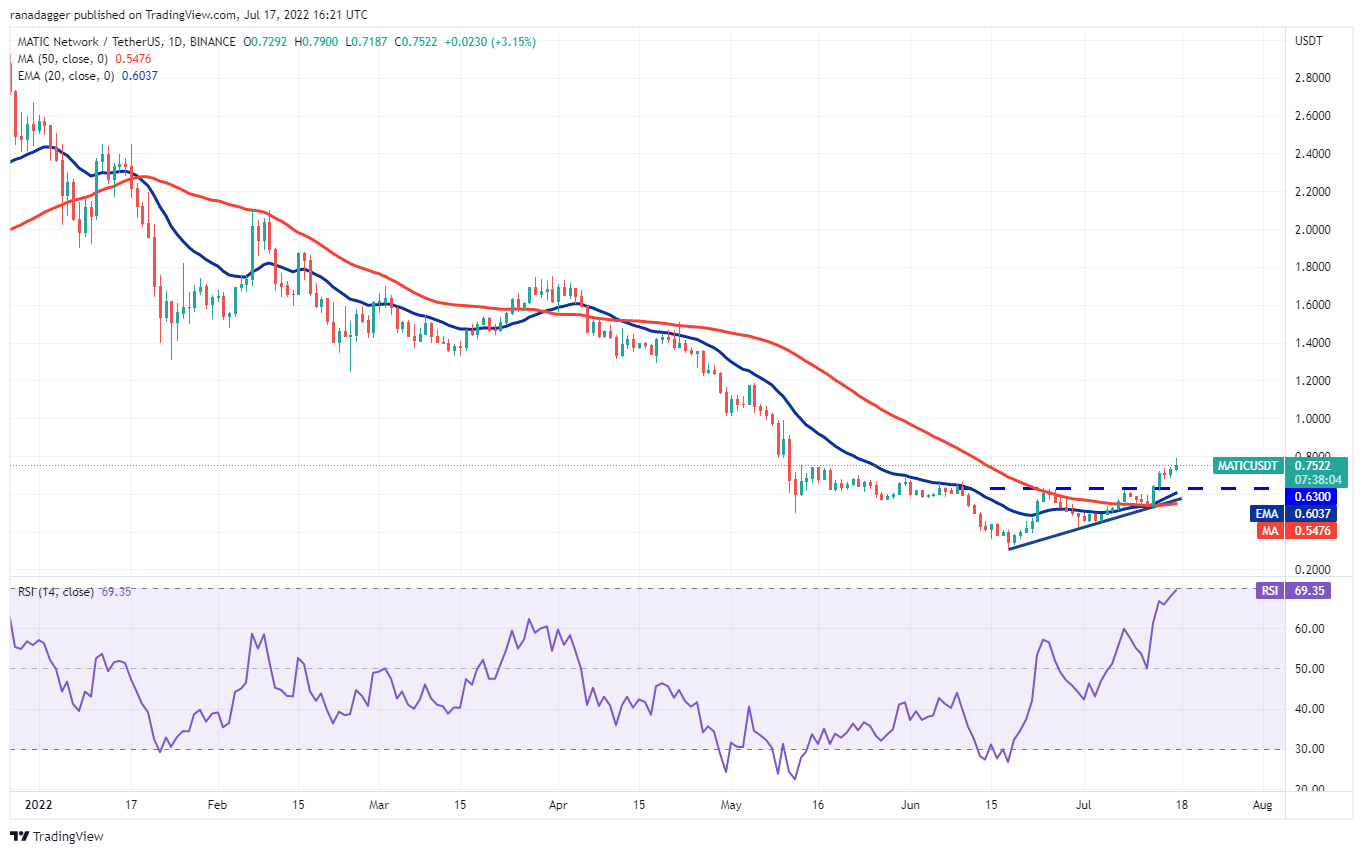 本周值得关注的 5 大加密货币：BTC、ETH、MATIC、FTT、ETC