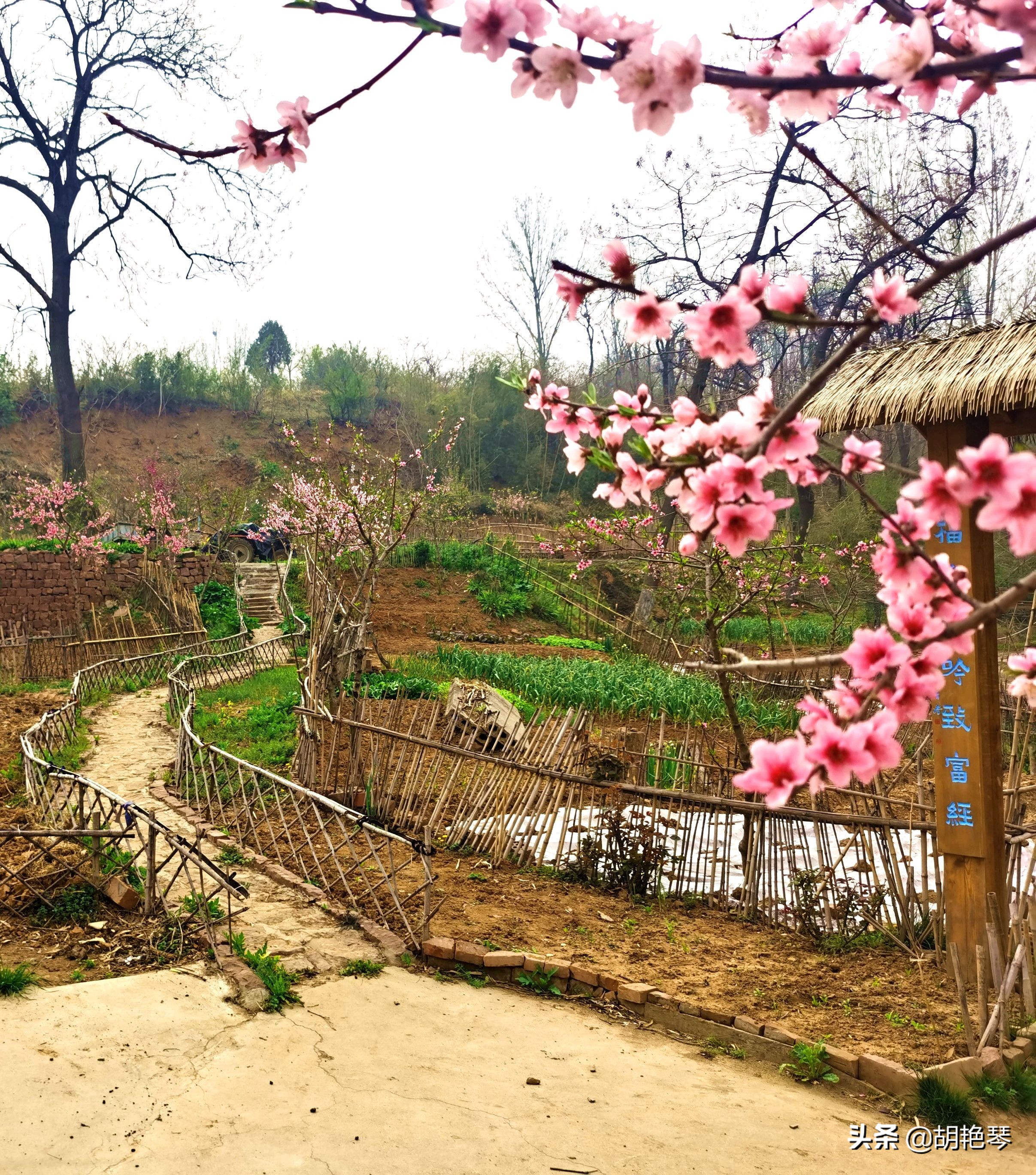 寻一处春风十里，享一段岁月静好