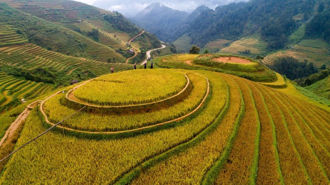 三产融合：乡村旅游如何做出特色