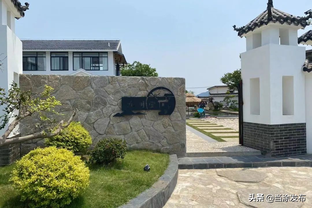 安徽当涂：大青山的枇杷熟了！