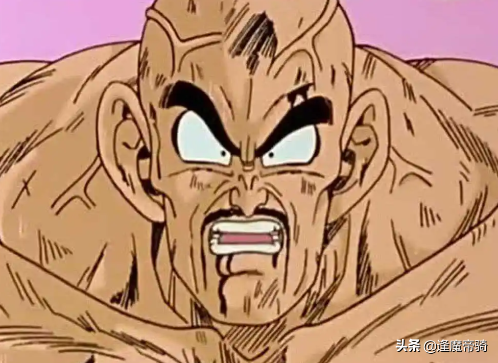 龍珠：貝吉塔以身為賽亞人為傲，為何他又看不起別的賽亞人？