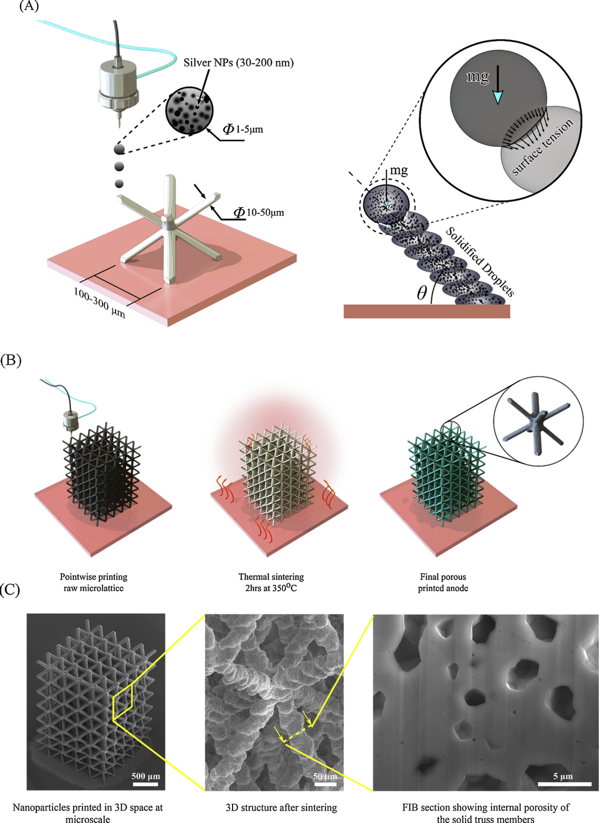 用于超高比容量和面积容量锂离子电池的 3D 打印多孔微晶格电极材料