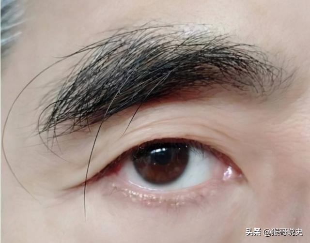 眉毛的面相 女人招财旺夫眉型是什么样子_达一风水网