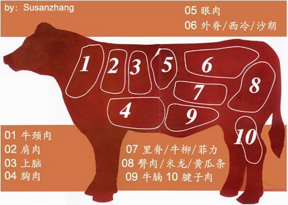 牛排的部位图解（最全牛肉部位名称认识和做法）