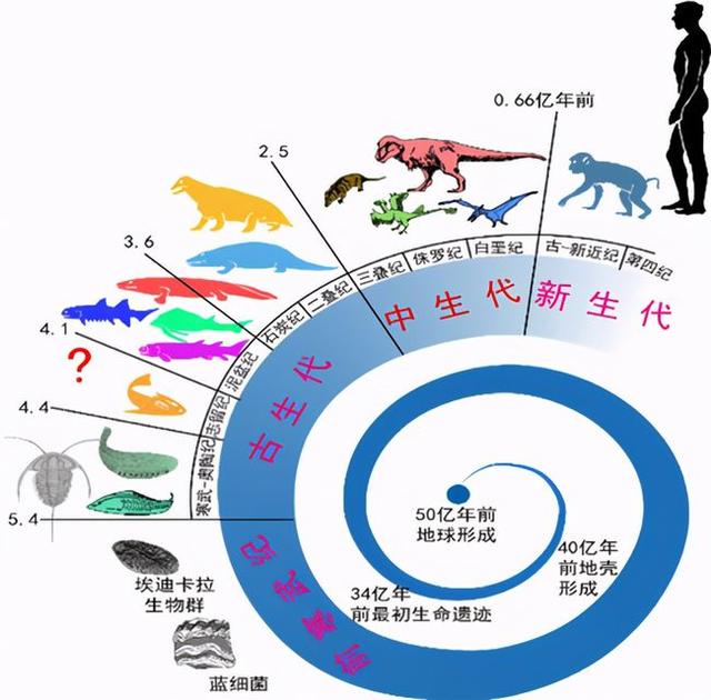 6500万年前恐龙灭绝了，人类历史不过百万年，空白期发生了什么？