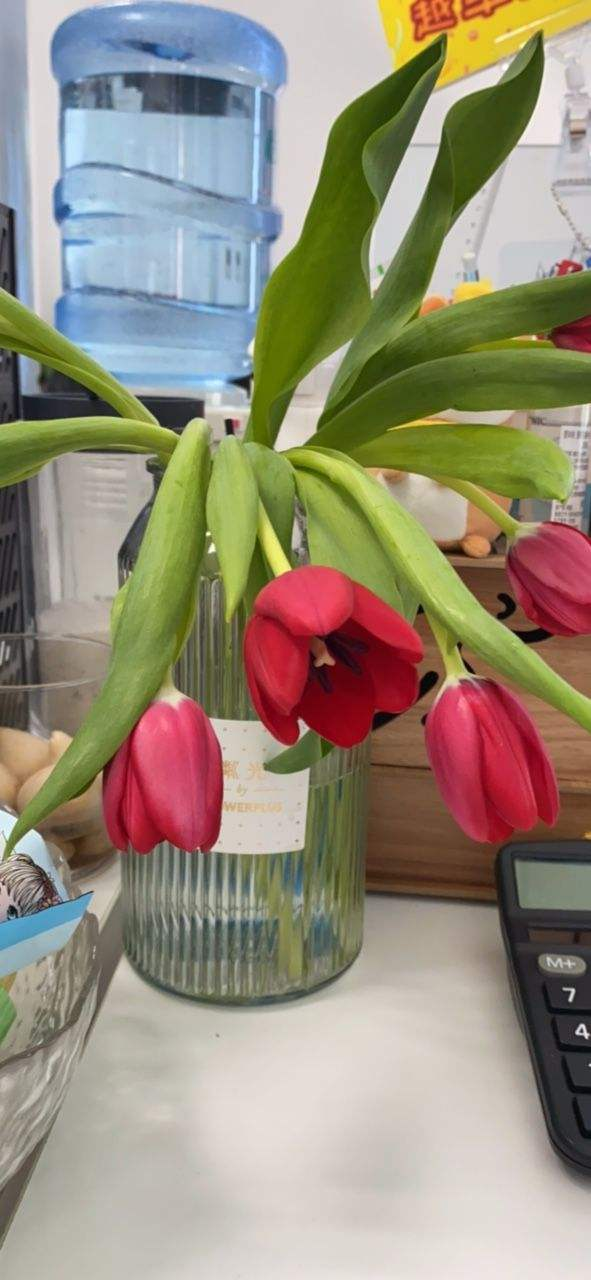 植物花语:杏仁花语你知多少?_达一风水网