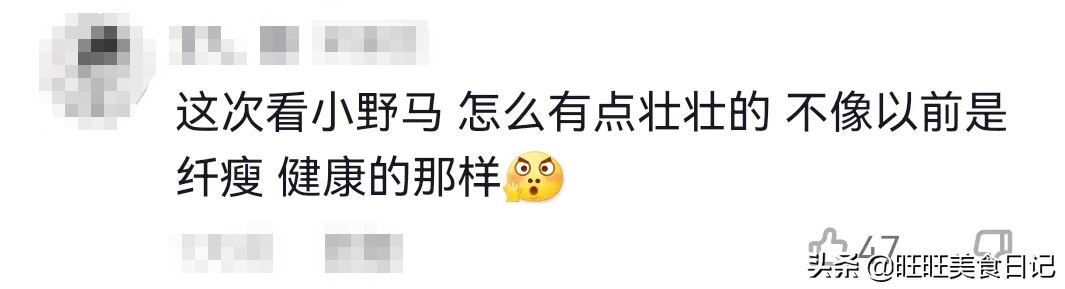 肚子大？这6个原因你应该知道！该如何减肥，都给你列出来了
