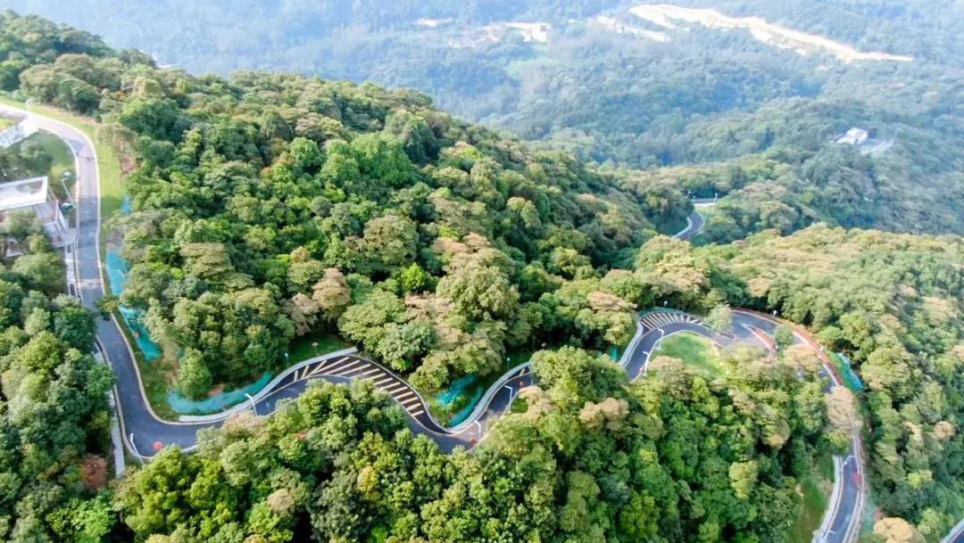 十八罗汉山森林公园 十八罗汉山游玩攻略-文化号
