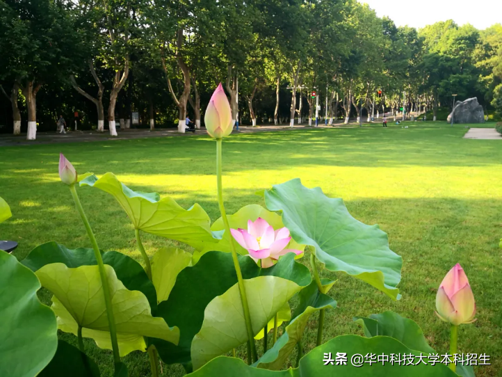 2022年，第一份“最强offer”诞生，来自华中科技大学！