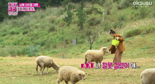 她没惹到任何人