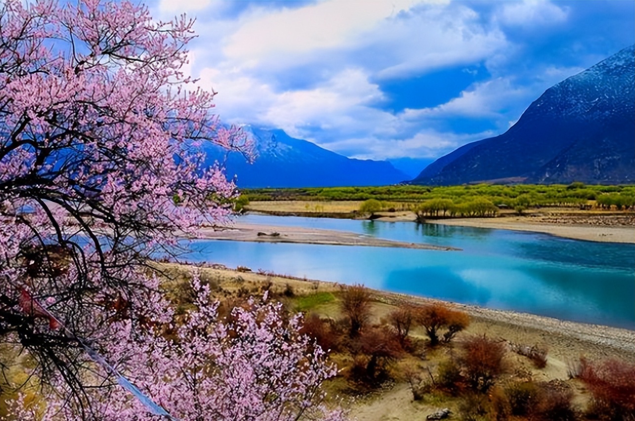 林芝旅游攻略(西藏林芝旅游攻略)