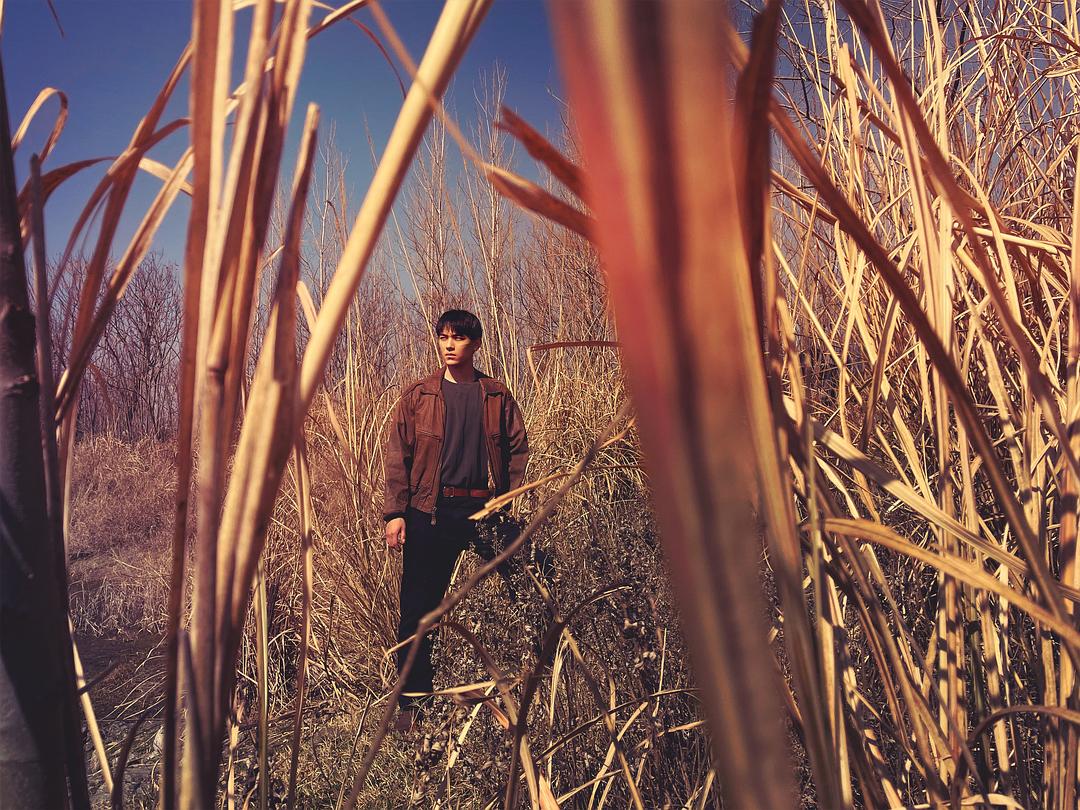 首播4小时就拿下飙升榜第二名，悬疑片《远山淡影》凭啥这么横？