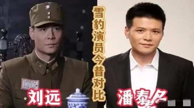 12年后再看《雪豹》，主演凉了，配角火了，如今差距一目了然