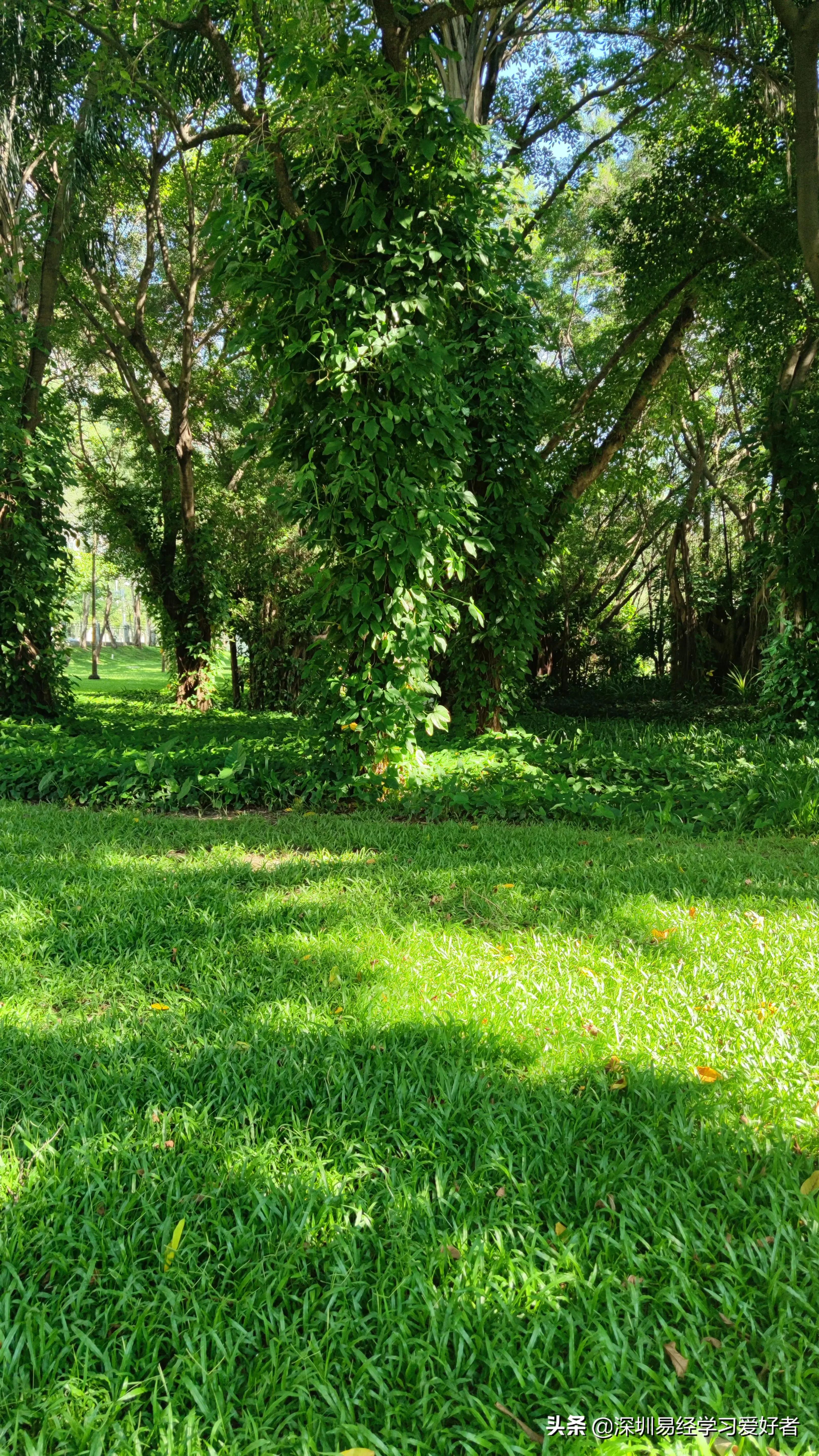 天晴,心情,境随心转