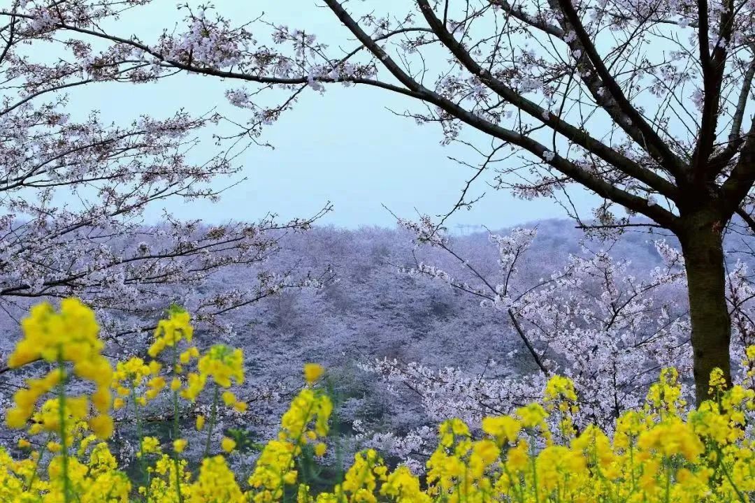 【露营】去中国傩城露营，把生活还给山野，把自己还给自己