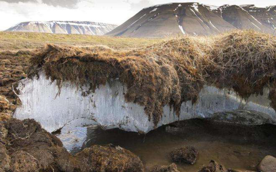 北极“高烧”不断，史前生物遗骸陆续现身，冰层下的病菌或会苏醒