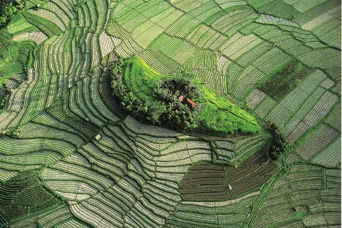 世界旅游地图揽胜—亚洲印度尼西亚巴厘岛