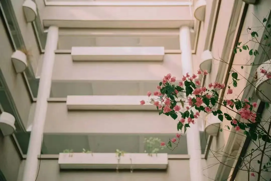 广州华立科技职业学院2022年春季广州、云浮校区招生全面开启