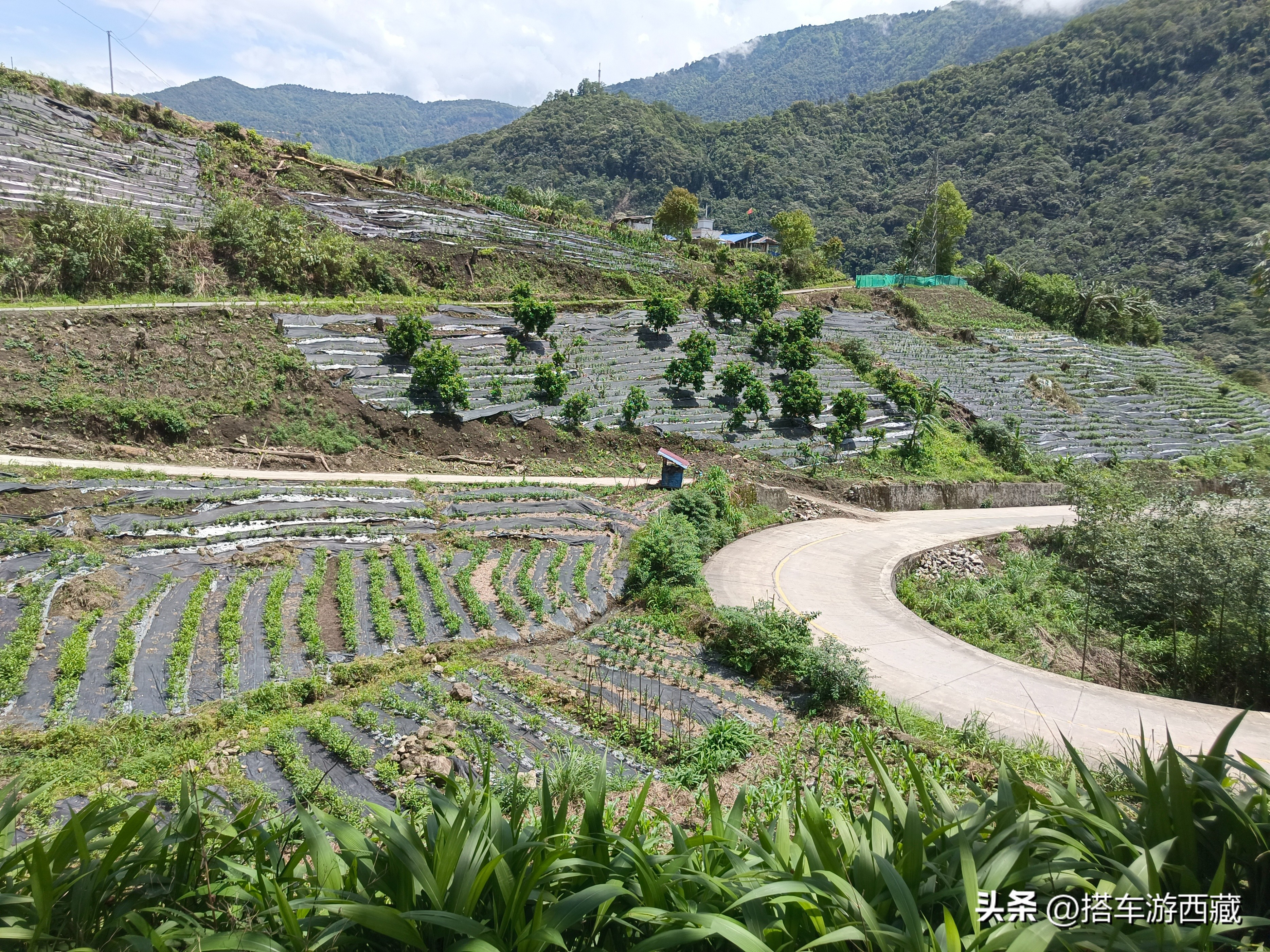 徒步墨脱南部小乡村，路上本地人跟我说不要瞎走，到处都是眼镜蛇
